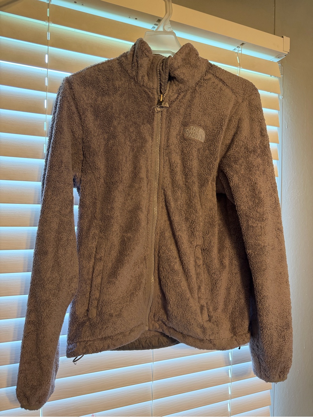 The North Face Plush Full-Zip Fleece Jacket
